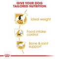 ROYAL CANIN BEAGLE ADULT 3K XIRA TROFI SKuLOu
